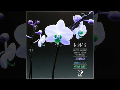 Melodic Brothers & Bryan Milton With Natune - Lethargy (Native Guest Remix)