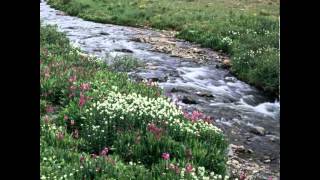 Better Off Without Me from the scabs