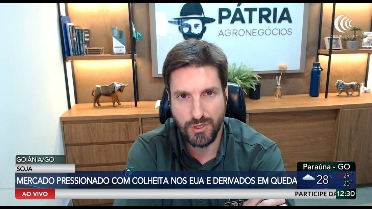 Soja segue pressionada com oferta dos EUA e dólar em queda