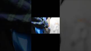 【#盗作】【#ヨルシカ】【#shorts】【#永久機関】  #盗作 #ヨルシカ  プロフよりYouTube fullへ飛べます！ #初音ミク #anime  #hatsunemiku