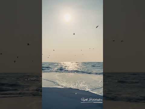 Sea -Thirayum Theeravum