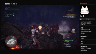 モンハンシリーズを初めてプレイ（１２日目）