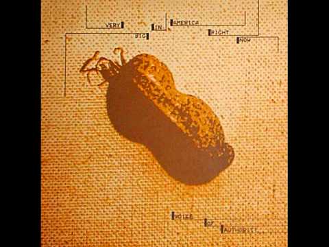 Voice of Authority--Very Big in America Right Now