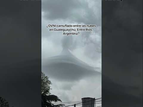 ¿OVNI camuflado en Gualeguaychú, Entre Ríos, Argentina? #gualeguaychu #entrerios #ufoキャッチャー #uap