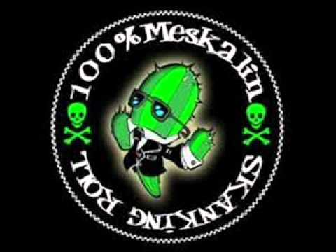 100% Meskalin-Bad Religion