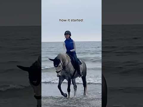 no more beach for me. #horse #horses #horseriding #horsegirl #riding #equestrian #pony #horsefan