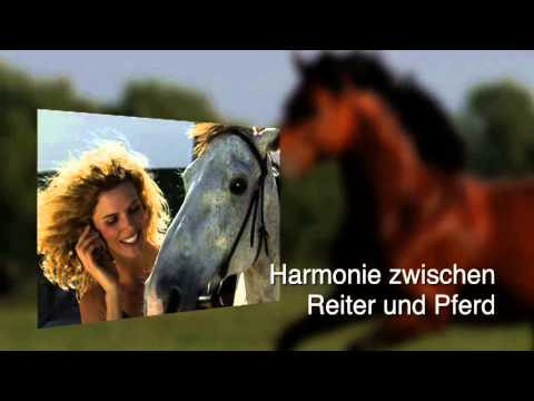 Pferdezucht - Escheburg Reitanlage Pfeiffer