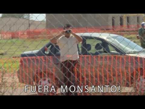 Fuera Monsanto - Perro Verde -