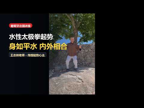 The Opening Posture (Qishi): Finding Center on the Rolling Waves of Gravity