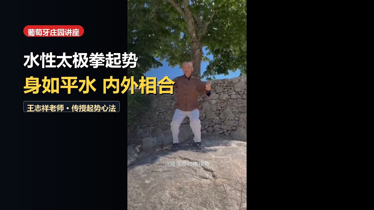 La Postura di Apertura (Qishi): Trovare il Centro sulle Onde di Gravità