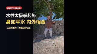 The Opening Posture (Qishi): Finding Center on the Rolling Waves of Gravity