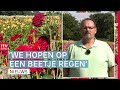Zorgen bij bloemencorso Eelde & Inwoners Aa en Hunze maken eigen speelfilm | Drenthe Nu