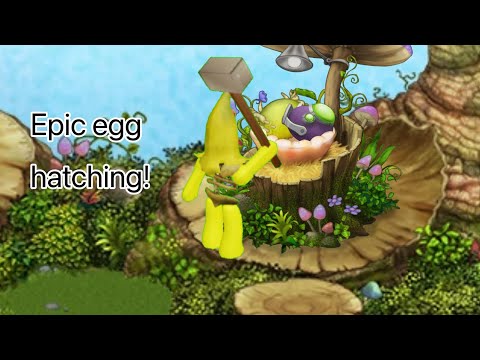 MSM epic egg hatching