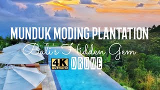 Munduk Moding Plantation | Bali's Hidden Gem | Luxury Resort | 5 star Accommodat
