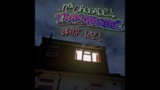 Transvestite (Blink 182 cover)