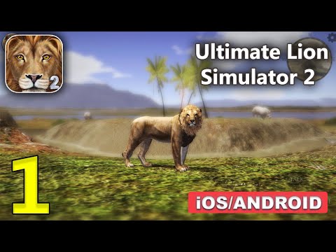 Ultimate Lion Simulator 2 Gameplay Walkthrough (Android, iOS) - Part 1 - YouTube