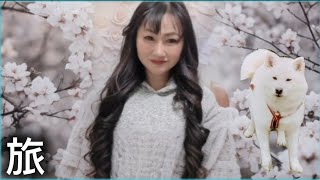 【旅行】#旅 #旅遊 #犬 #犬のいる暮らし #犬のいる生活 #犬動画 #犬好き #犬との暮らし #dog #dogs #doglife #dogvideos #柴犬 #柴犬のいる暮らし #しばいぬ