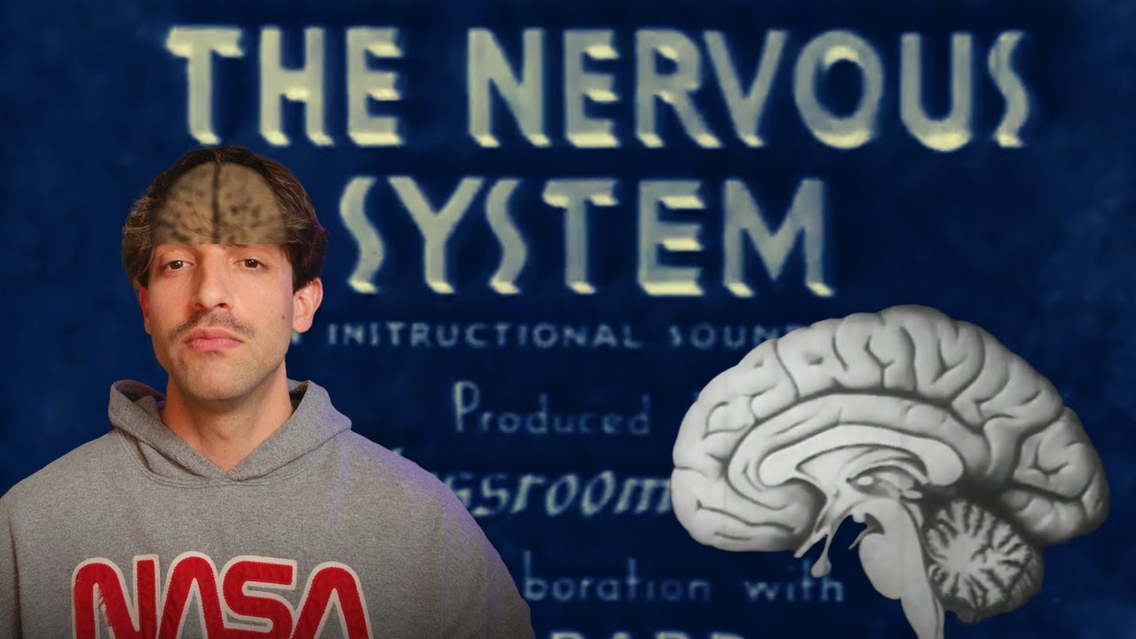 O SIstema Nervoso em 1937