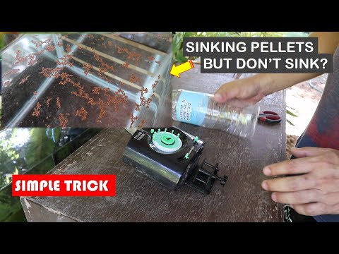 Sinking Pellets Won't Sink What to do