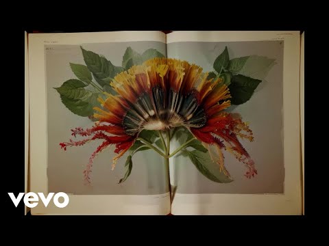 MACE, Venerus - OSSIGENO ؏ (Visual)