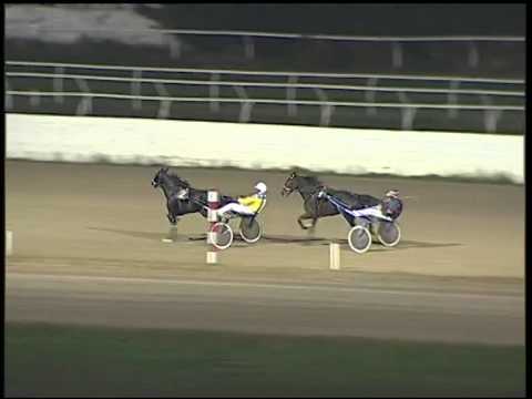 Trotto 02/11/2014 - 2° prova di riqualifica