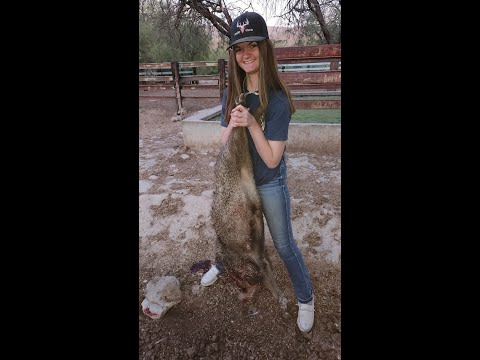 Kam's Mexico Javalina Hunt Kam's Mexico Javalina Hunt