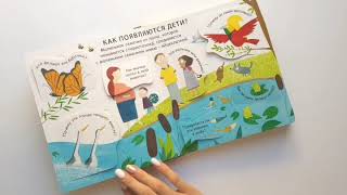 40 окошек. Откуда берутся дети