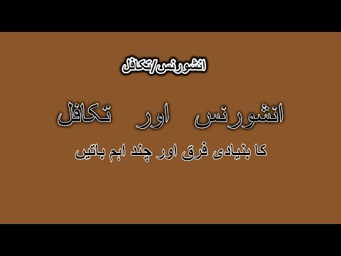 Difference between Insurance and Takaful ! Basic Points of Insurance and Takaful