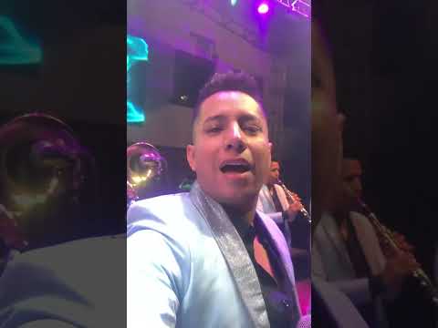 Cachorro ￼ de la incontenible Banda astilleros