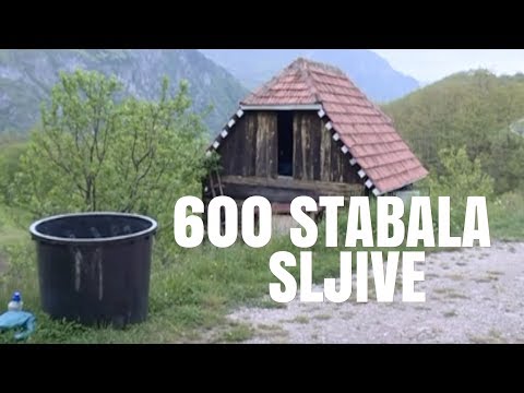 VOCAR SA TARE 600 STABALA SLJIVE I 100 JABUKE