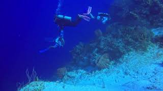 Cozumel 2023 Day 4, Dive 1, Part 1