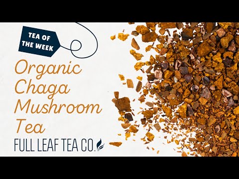 Tea of the Week - Organic Chaga Mushroom Tea 🍃🍄