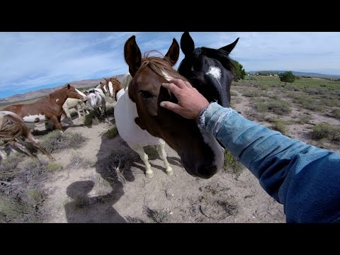 , title : 'GoPro: Wild Mustangs - A Legacy in 4K'