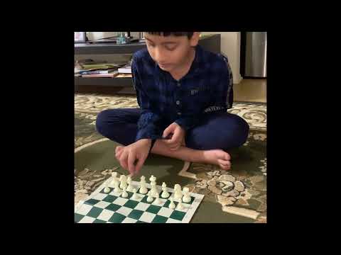 Chess lessons with Vishant-Basics