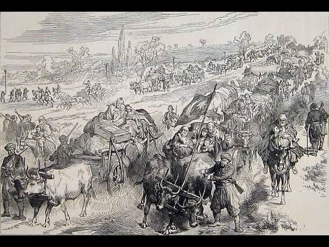 Empire of Refugees: North Caucasian Muslims and the Late Ottoman State - Vladimir Hamed-Troyansky