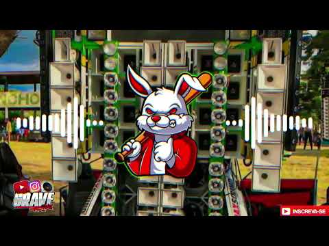 SELEÇÃO - MÉDIOS E GRAVES - CARNAVAL 2024 - ARROCHADEIRA PRA PAREDÃO