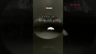 Wildboars at night  #nocpix #wildboar #thermalvision #hunting