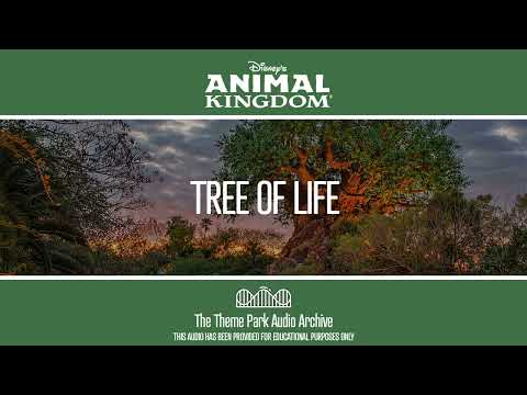 Tree of Life | Animal Kingdom