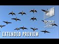 WINGED MIGRATION – Extended Preview – Now on Digital