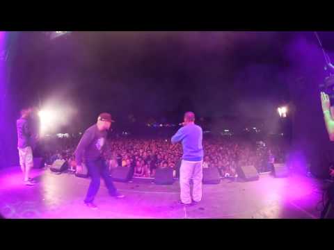 Black Tiger & MC Rony - Live Medley at Royal Arena Festival 2015