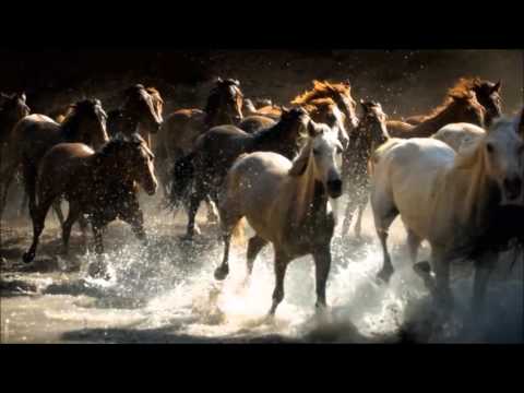 Korsar-Popasul haiducilor (video)