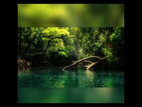 Nature Sounds Relaxing Sleep Music