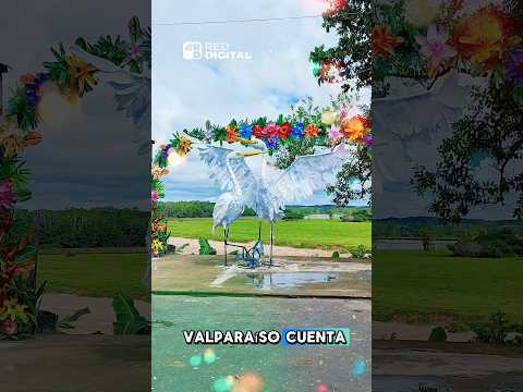 Valparaíso #caquetá se viste de navidad desde este 5 de diciembre