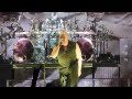 Disturbed - Remnants / Asylum (Live at San Bernardino 7/9/11) (HD)