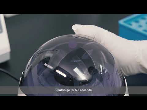 Genrui Novel Coronavirus (2019-nCoV) Nucleic Acid Detection Kit (RT-PCR)