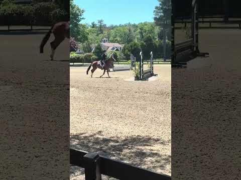Belle video 2
