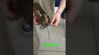 Download lagu vanilla bean powder grinding machine mp3