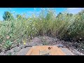 MJX Allrock H8H 1 8 Scale Dutch Jungle Test Drive Onboard View Episode 2