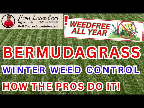 Your Year-Round Weed Control Plan Starts With This One Step
