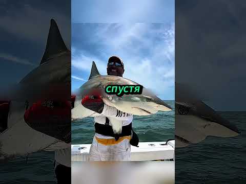 Он спас маленькую акулу, а спустя годы она спасла его жизнь! 🦈😱#viral #shorts #facts